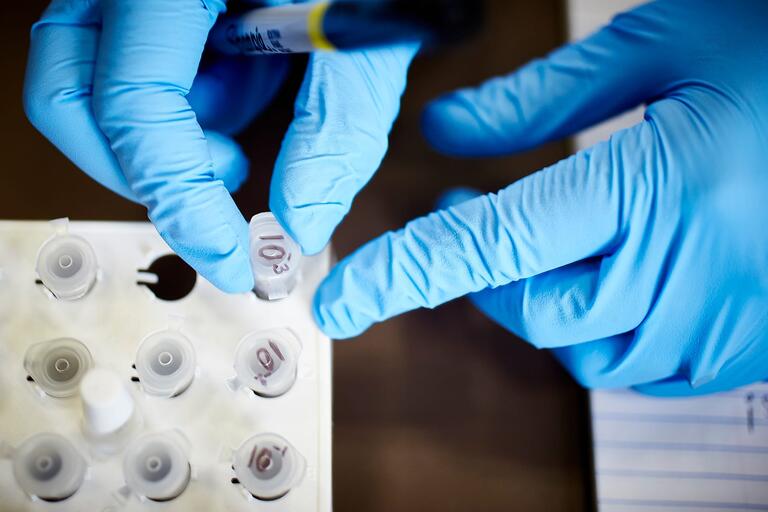 Gloved hands working with lab samples