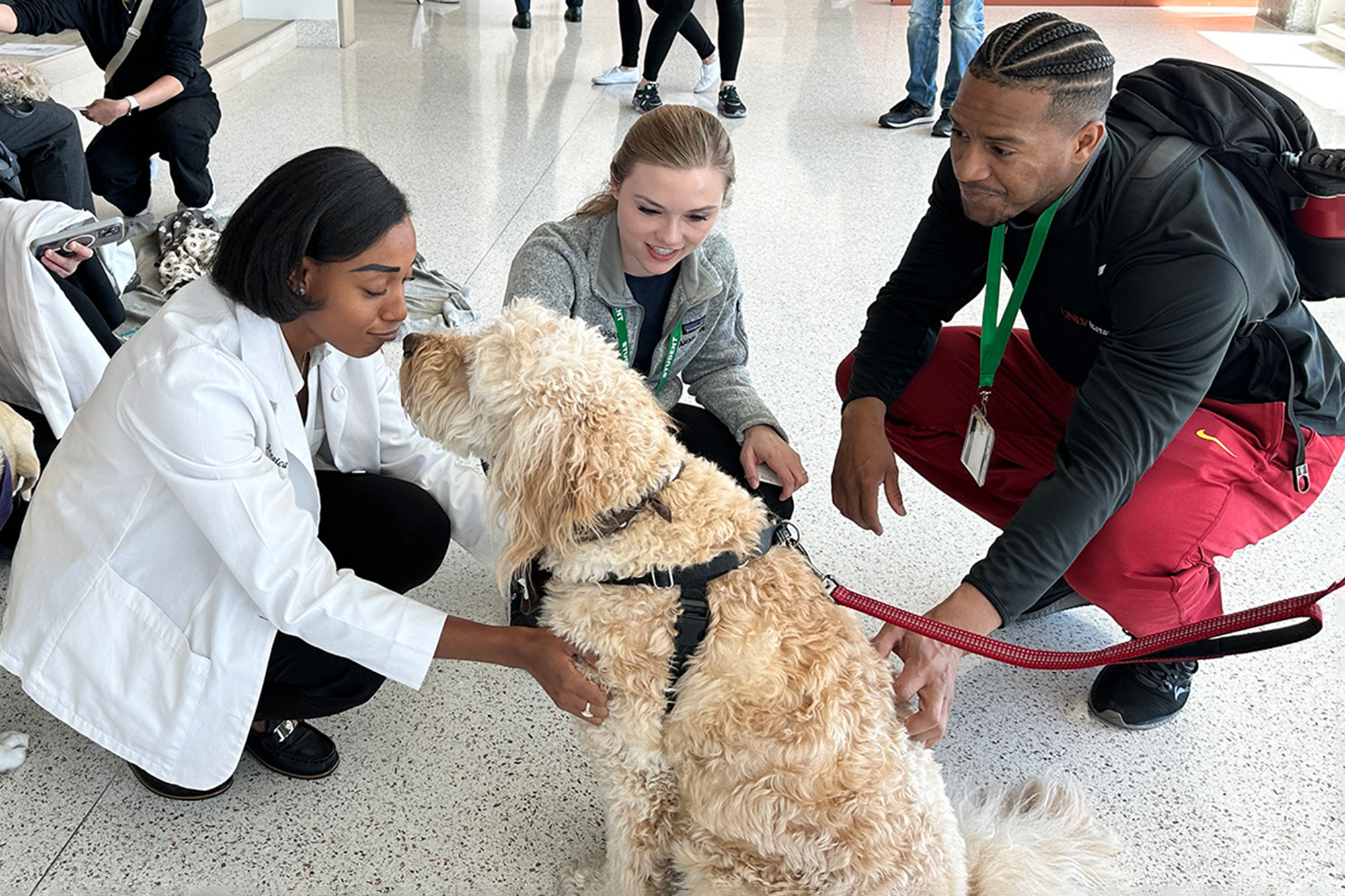 A woman kneeling on the floor petting a dog