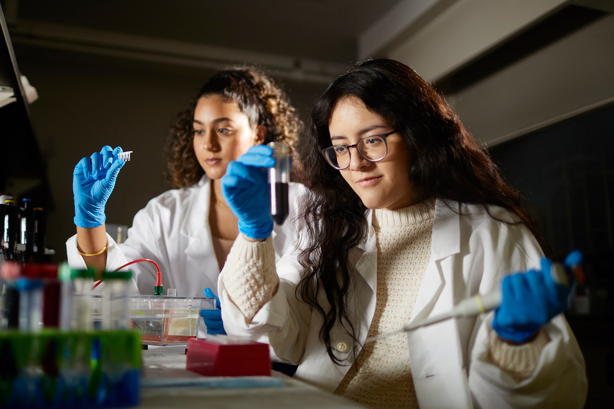 Two students worker with test tubes