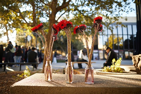 Three vases with flowers