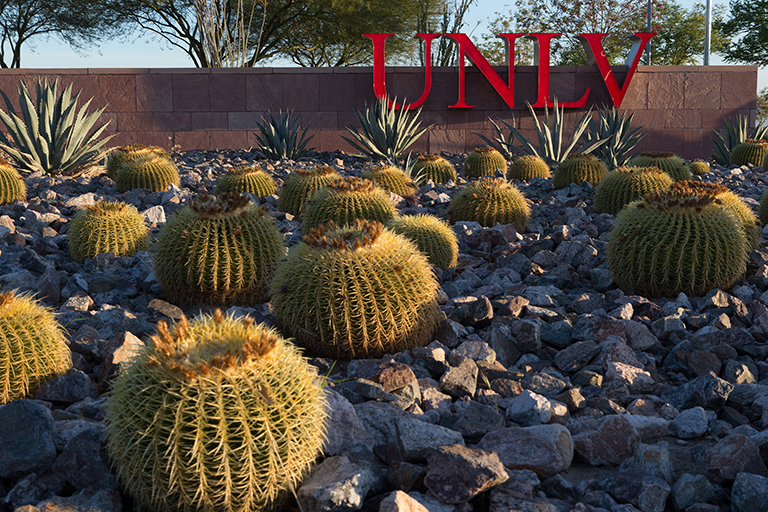 Campus landscaping with many cacti