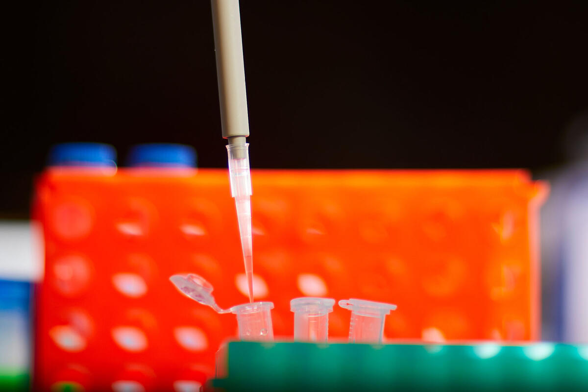 A pipette distributing samples into small test tubes in a research lab.