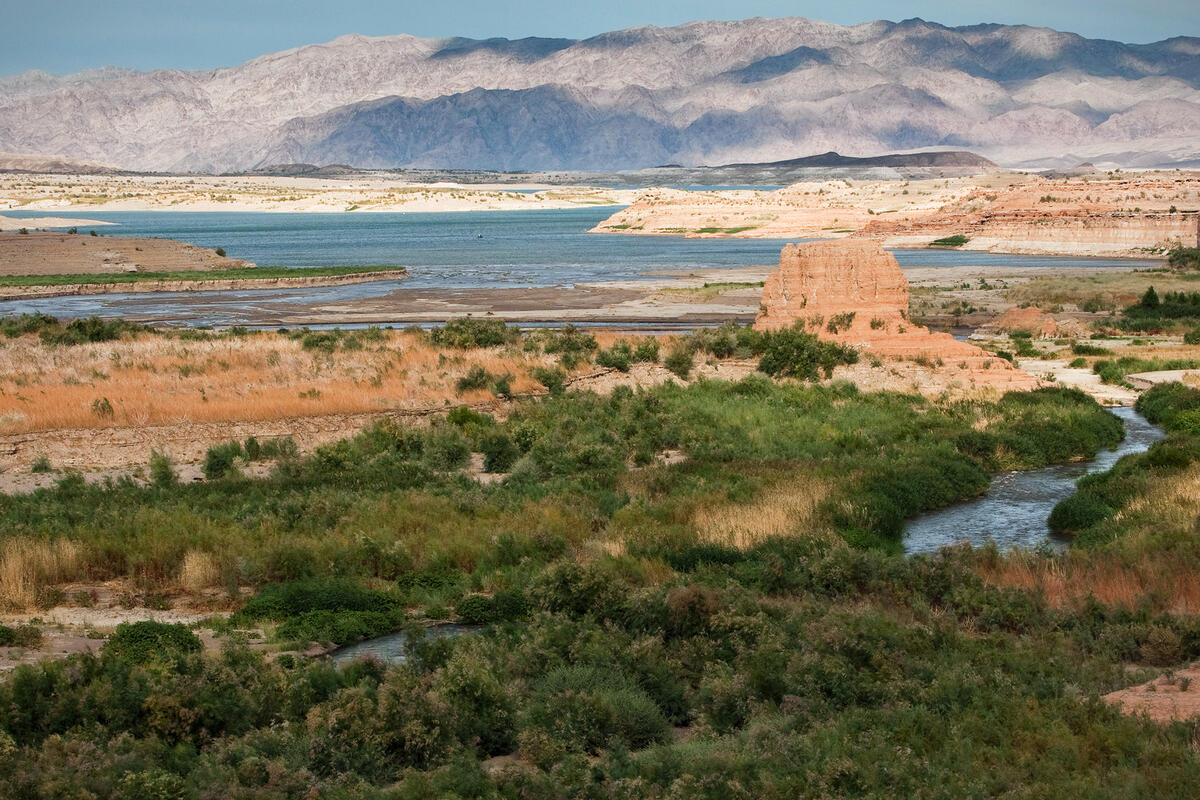 Lake Mead Party