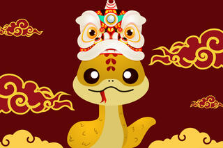 A drawing of a snake represents this concert, celebrating the Lunar New Year (of the snake)