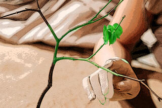 A hand reaches out to touch a growing tree or bush in this promotional image.