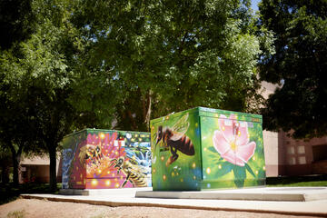 two large utility boxes covered in murals