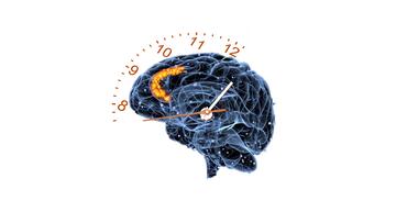 illustration of a brain with clock hands