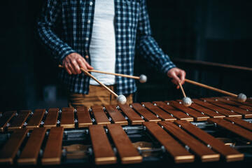 cropped image of individual playing on a xylophone