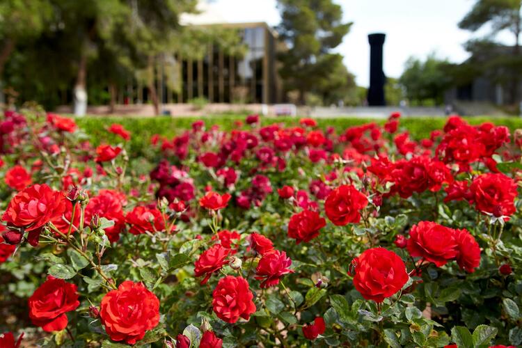 Unlv Calendar Spring 2023 Spring 2022: Spring Break Recess | Calendar | University Of Nevada, Las  Vegas