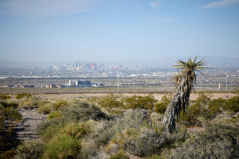 desert land with cityscape in distance