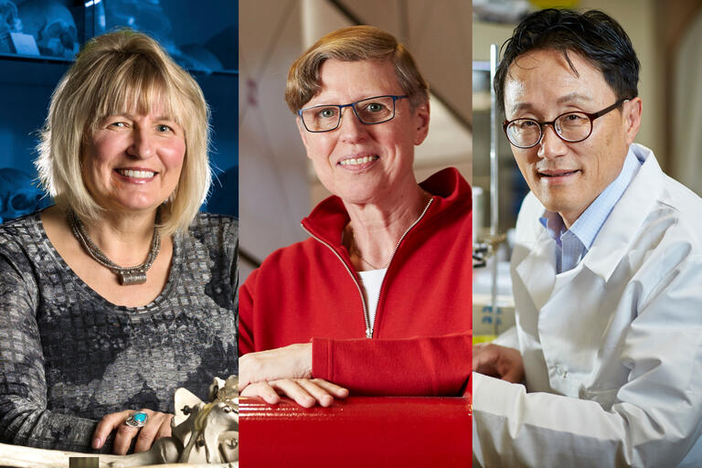 Portraits of Distinguished Professor Award Recipients Debra Martin, Gabriele Wulf and Kwang J. Kim.