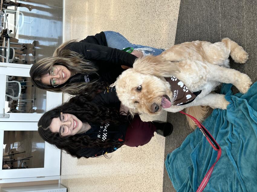 Two women petting a goldendoodle dog